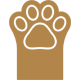Felinologist Consultations